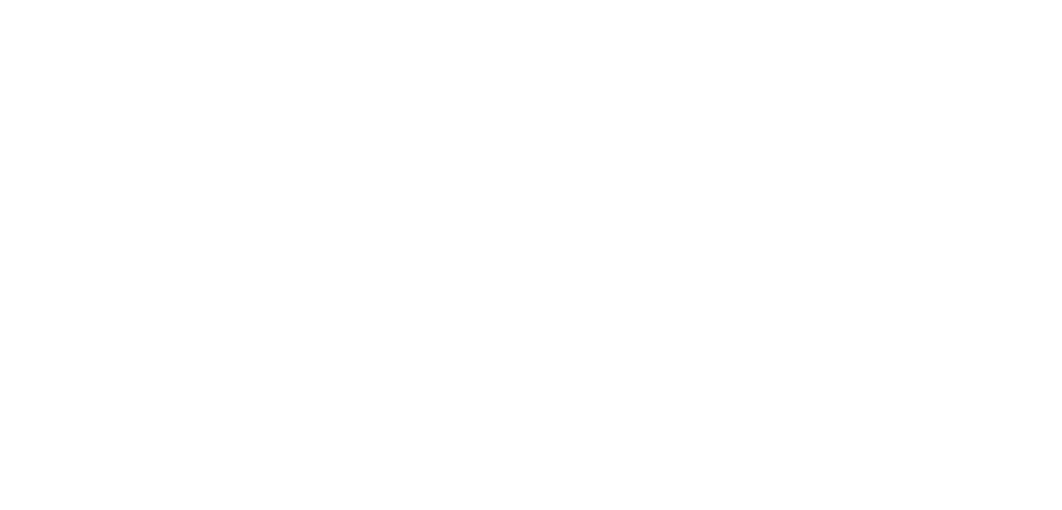 pavel carpenter carpentry horskop ltd logo upscaled white